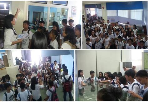 7 minors tagged in “raping” a Grade 10 student in City of Naga.